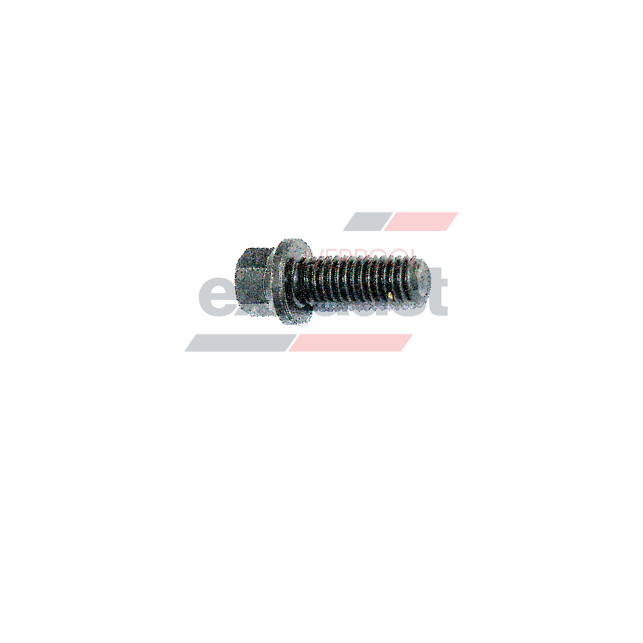Hurricane - High Tensile Steel M8 X 1.25 3/8” Head X 20mm Long Bolt