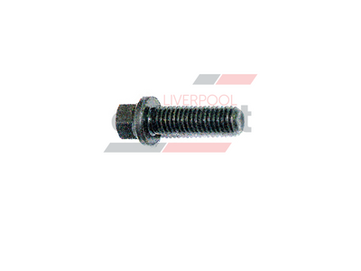 Hurricane - High Tensile Steel M8 X 1.26 3/8” Head X 25mm Long Bolt