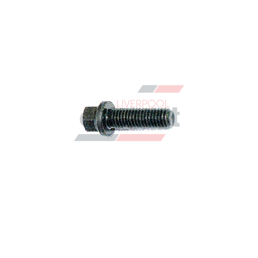 Hurricane - High Tensile Steel M8 X 1.26 3/8” Head X 25mm Long Bolt